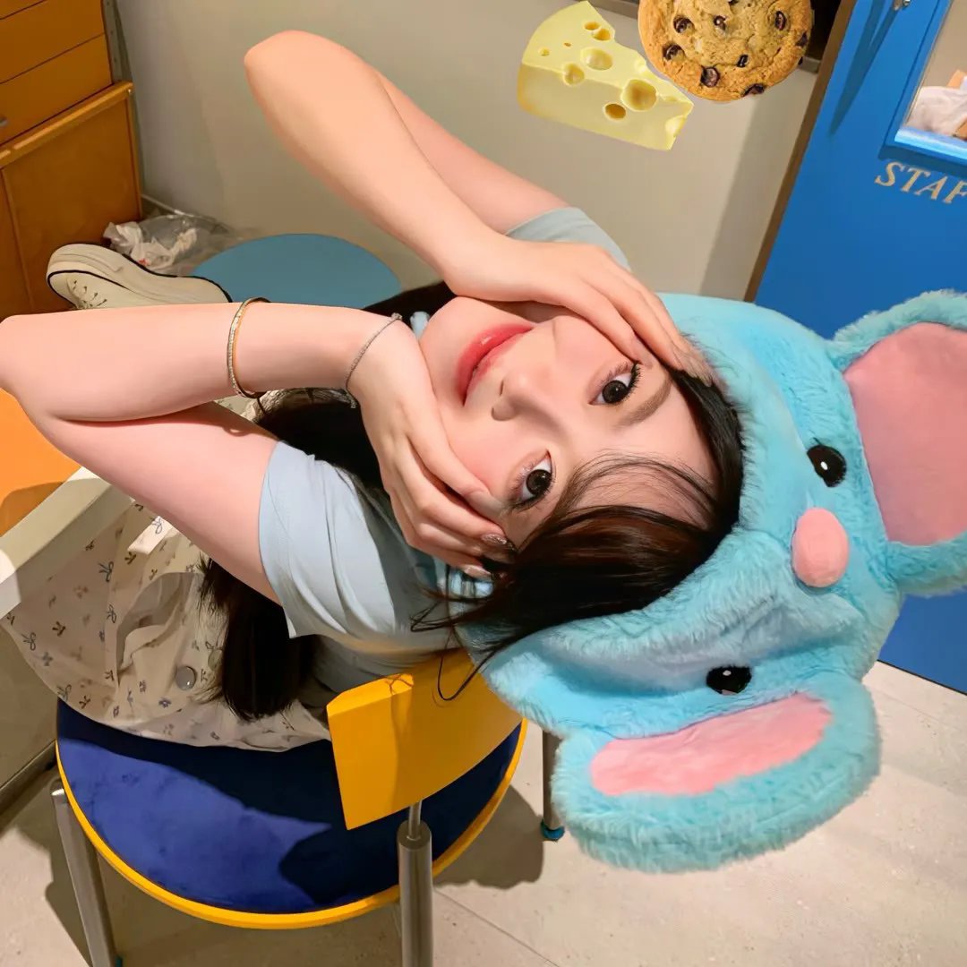 眼镜蛇第五季